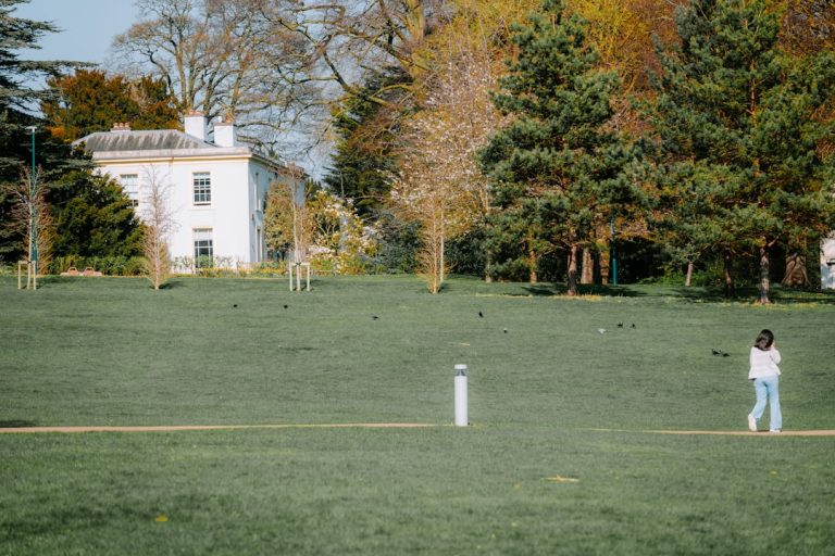 Experience the Thrill of Fantasy Cricket with Vera Racer!